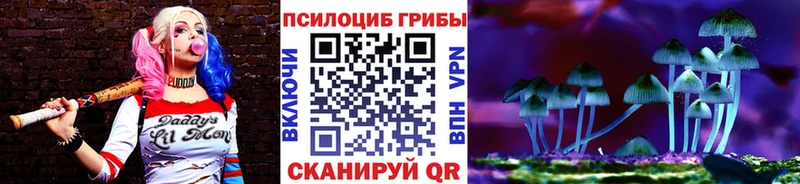 Псилоцибиновые грибы Magic Shrooms  Данков 